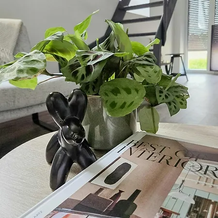 Modern In Nature With A View Casa vacanze Extertal